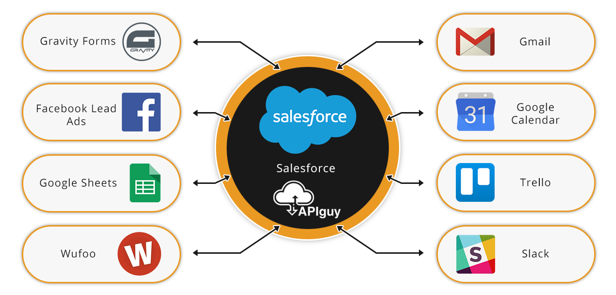 Salesforce software integration and automation with API Guy