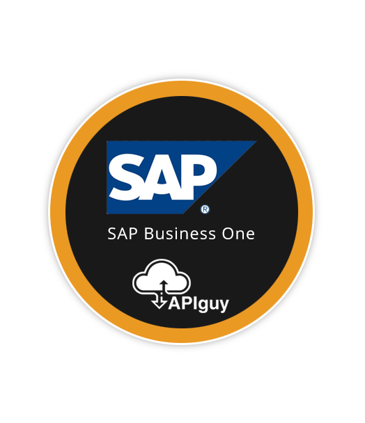 Sap Business One software integration and automation with API Guy
