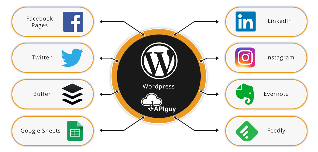 Wordpress software integration and automation with API Guy